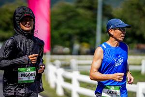 BIB: 
                            <button type="button" onclick="openModal(26545172)" class="btn btn-primary btn-sm float-right btn-popup" data-toggle="modal" data-target=".modal-high-quality">
                        <i class="fas fa-shopping-cart"></i> Add to Cart
                    </button>
                                            <button type="button" onclick="isThisMe(26545172, true)" class="btn btn-success btn-sm float-right btn-popup btn-isme hidden" data-toggle="tooltip" data-placement="bottom" title="นี่คือรูปของคุณใช่ไหม คลิกที่นี่เพื่อเอาเข้าอัลบั้ม">
                        <i class="fas fa-plus"></i> Add to album
                    </button>
                    <button type="button" onclick="isThisMe(26545172, false)" class="btn btn-warning btn-sm float-right btn-popup btn-isnotme hidden">
                        <i class="fas fa-ban"></i> Remove from album
                    </button>